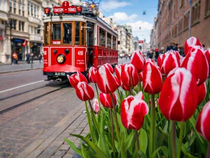 Фестивал на лалетата в Истанбул, Турция с автобус от Варна - 3 нощувки